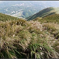 午後散步-大屯山