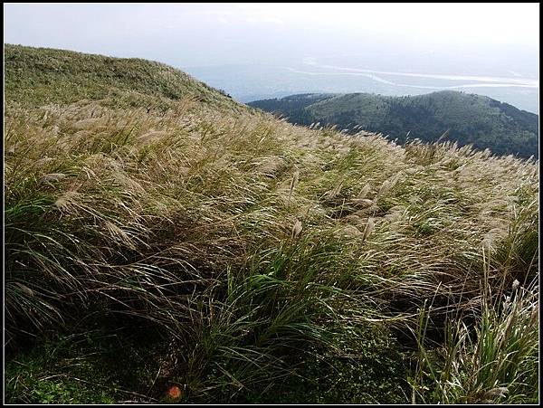 午後散步-大屯山