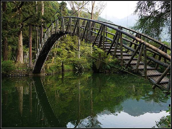 溪頭-大學池.jpg