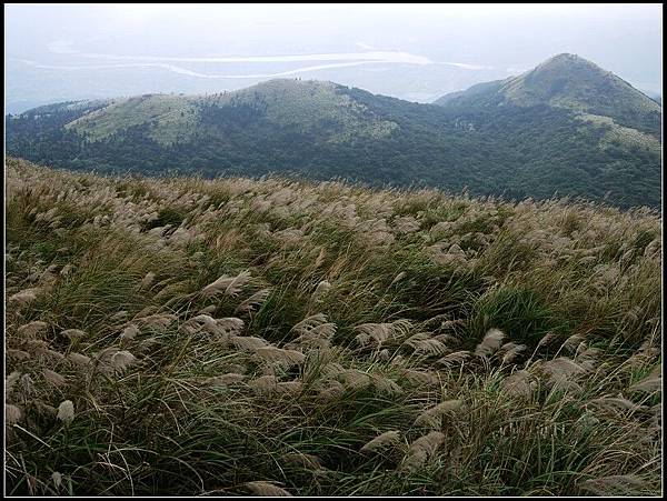 午後散步-大屯山