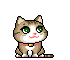 maomi55.gif maomi55.gif