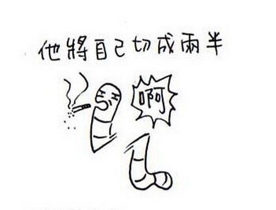 蚯蚓的再生能力01.jpg 蚯蚓的再生能力01.jpg
