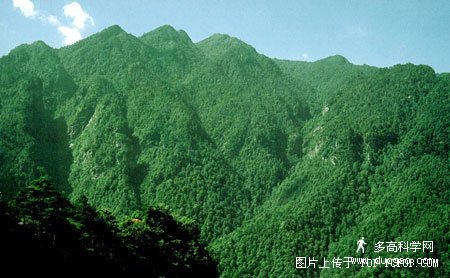 人民幣_第四套人民幣100元背面井岡山020.jpg 人民幣_第四套人民幣100元背面井岡山020.jpg