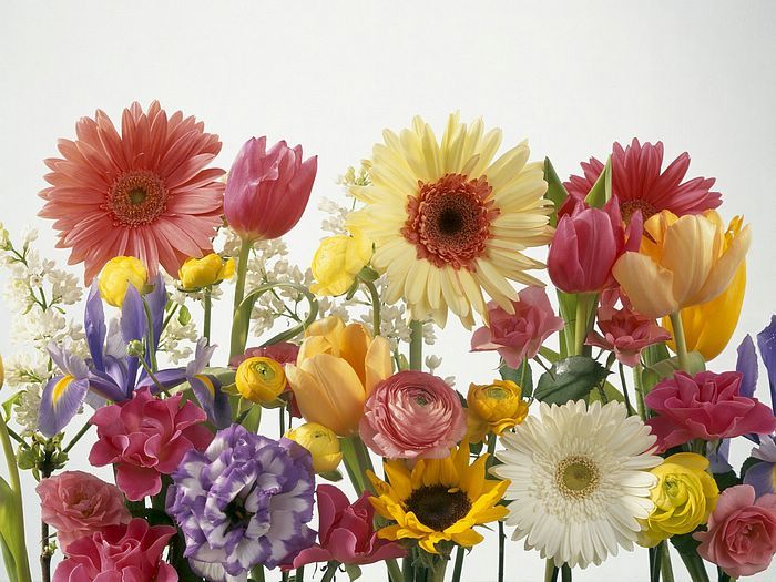 Springtime Arrangement.jpg Springtime Arrangement.jpg