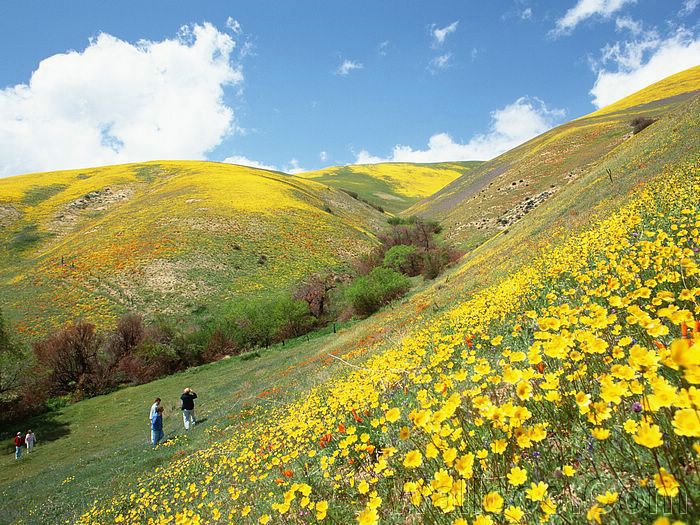 photos_of_People_and_Nature_wide_JD001_351A.jpg photos_of_People_and_Nature_wide_JD001_351A.jpg