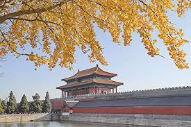 中國之美：歷史、文化與現代魅力的薈萃
