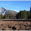 仍然是 Half Dome 與大草原