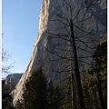 雄偉的 El Capitan 岩壁