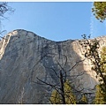 雄偉的 El Capitan 岩壁