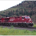 常常在風景照上出現的加拿大火車