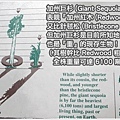 Giant Sequia 是全世界現存最『重大』的生物！
