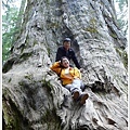 Tunnel Tree