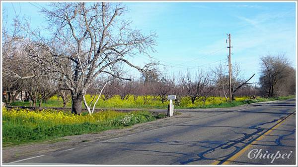 應該是99號或12號公路旁的景色