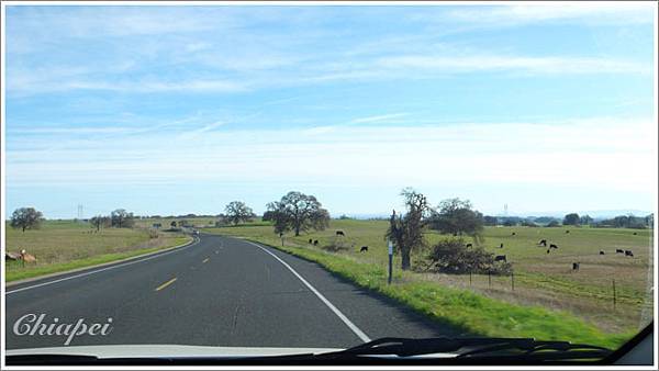 一路都綠油油的很漂亮