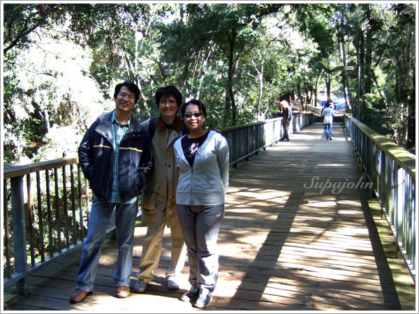 學校裡的木棧道