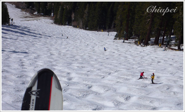這些 bumpy 路段看起來真可怕！ 