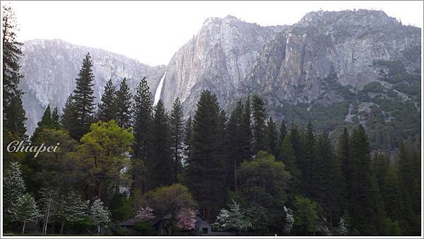 離去前的最後一瞥