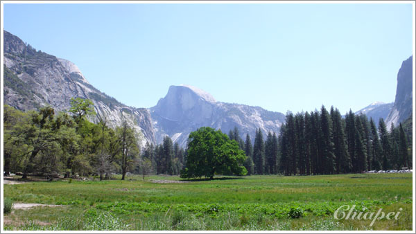 每次來都要來一張的經典 Half Dome 大頭照
