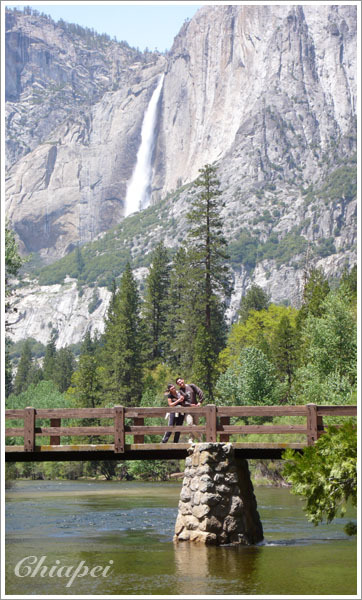 這倆傢伙非常有裝可愛的潛力啊 XD