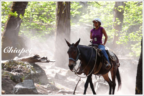 很夢幻地從陽光裡走出來