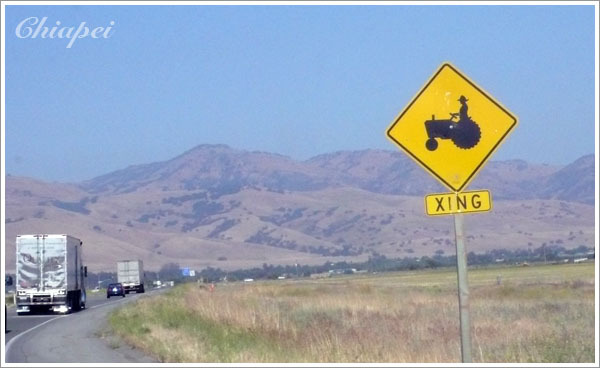 小心...『哞~~』