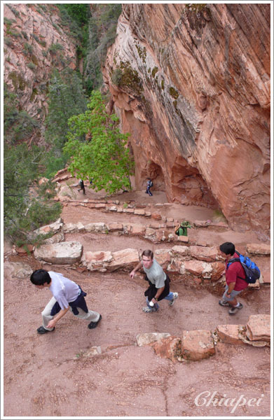 Walter's Wiggles 往下看