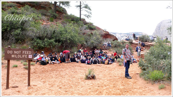 校外教學的小朋友在 Scout Lookout 休息
