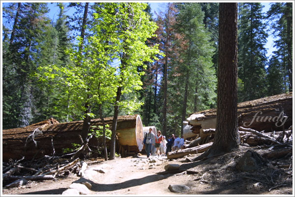 心想這應該是輕鬆的步道