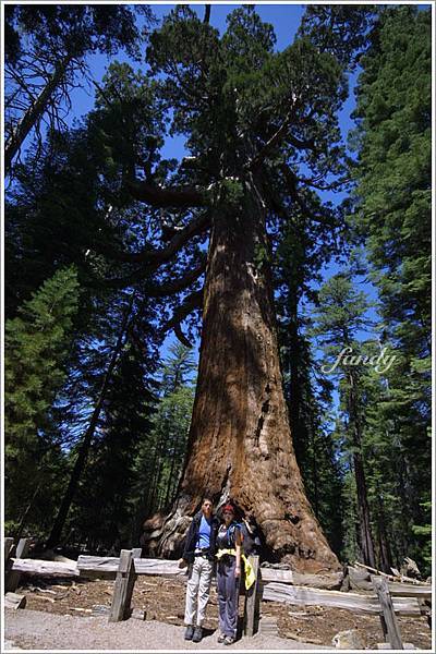 夫夫的廣角鏡可以把哈比人變成姚明 XD