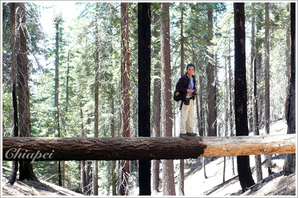 夫夫走起來像吃滷肉飯一樣輕鬆