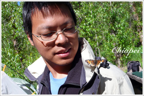 賴在夫夫外套上不肯走的小蛾