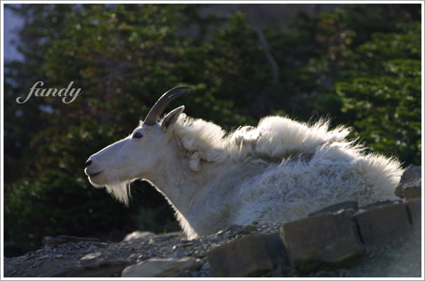 『哎呀沒辦法..今天我值班...』XD