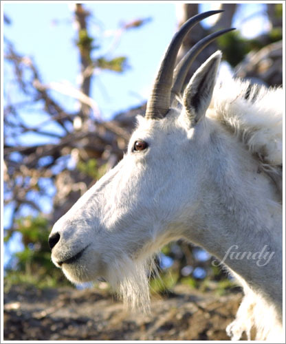瞇著紅紅的眼睛