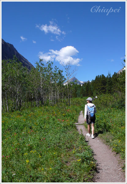 向山裡走去，會不會遇到熊呢？