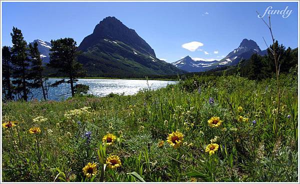 湖光山色及小花