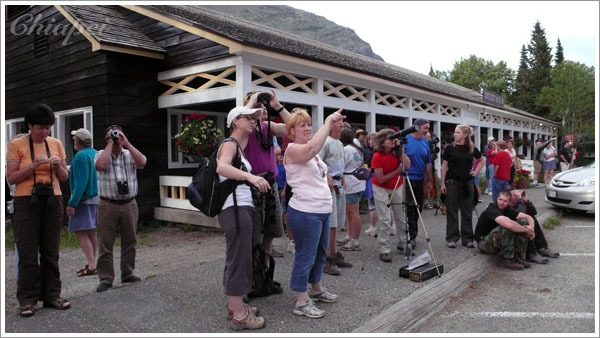 在國家公園看到大家停下來看東西一定要跟著看...