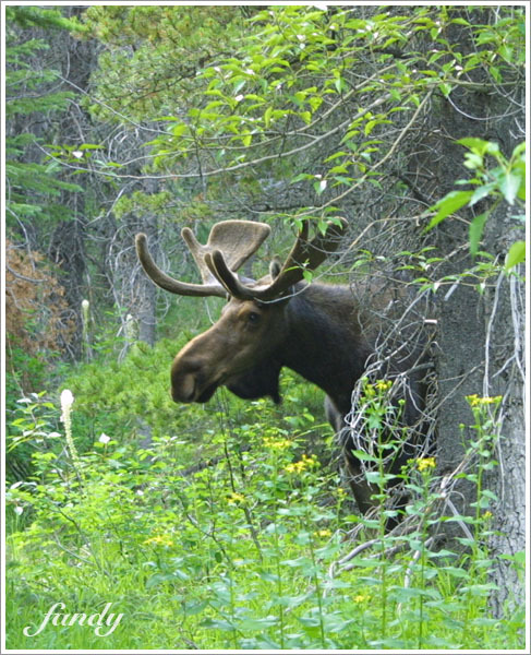 忽然有什麼動靜..