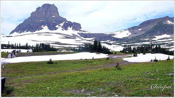 壯闊的雪山 + 遍地小野花