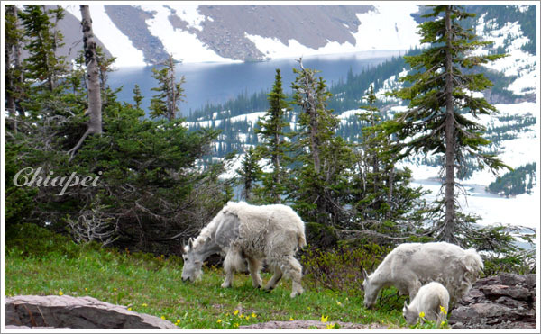 爸爸媽媽帶小朋友