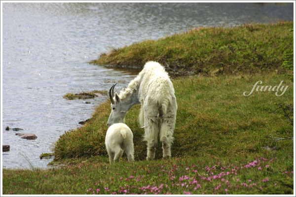 『傻孩子，尿尿又不是什麼見不得人的事』