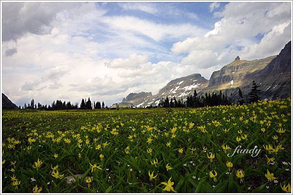 看再多也不會膩啊...