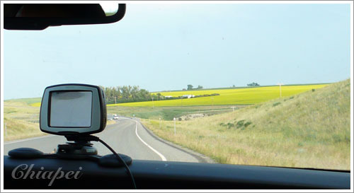 偶爾有油菜花田增添色彩