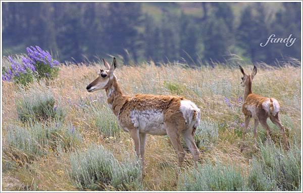 安全了.....嗎？（四處張望）