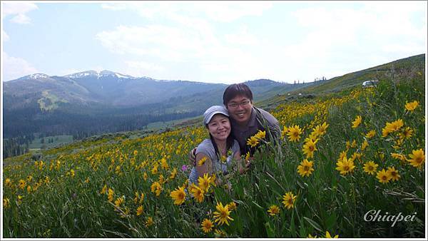 嗯...這個攝影師的功力比較好（老王賣瓜...哈！）