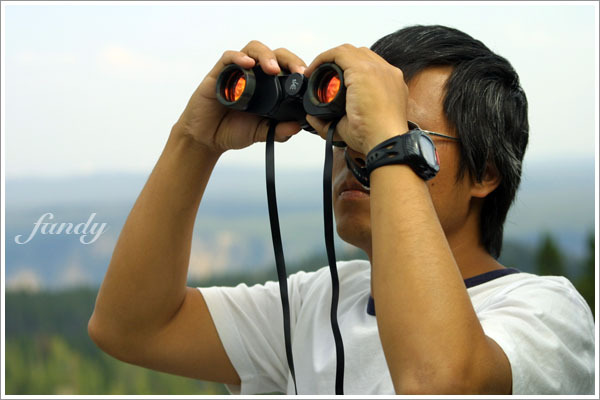 認真看熊的夫夫