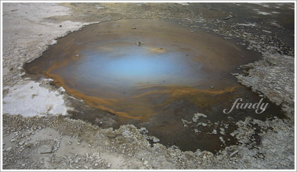 閃爍著奇特光芒的 pearl spring