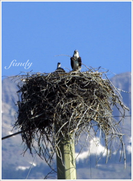 『媽！我們被發現了...』