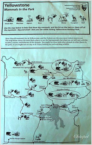 非常貼心的動物地圖 XD