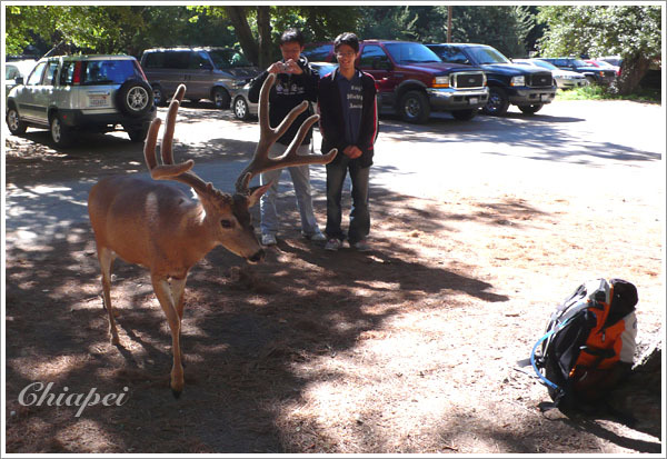 表弟很高興地一直照相