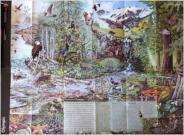 Olympic NP 的地圖